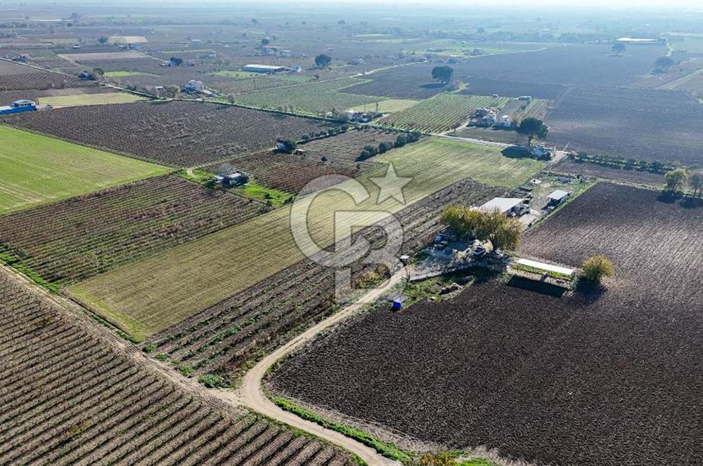 MANİSA ŞEHZADELER VEZİROĞLU SATILIK 8.116 M2 TEK TAPU BAĞ ARAZİSİ