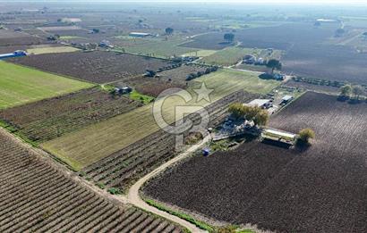 MANİSA ŞEHZADELER VEZİROĞLU SATILIK 8.116 M2 TEK TAPU BAĞ ARAZİSİ