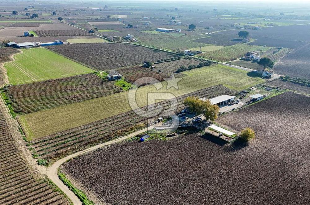 MANİSA ŞEHZADELER VEZİROĞLU SATILIK 8.116 M2 TEK TAPU BAĞ ARAZİSİ