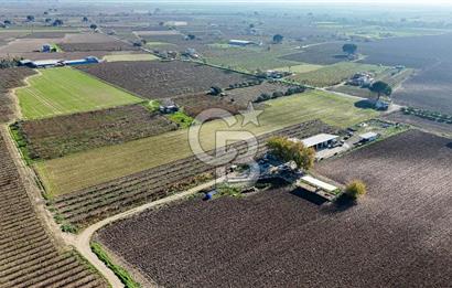 MANİSA ŞEHZADELER VEZİROĞLU SATILIK 8.116 M2 TEK TAPU BAĞ ARAZİSİ