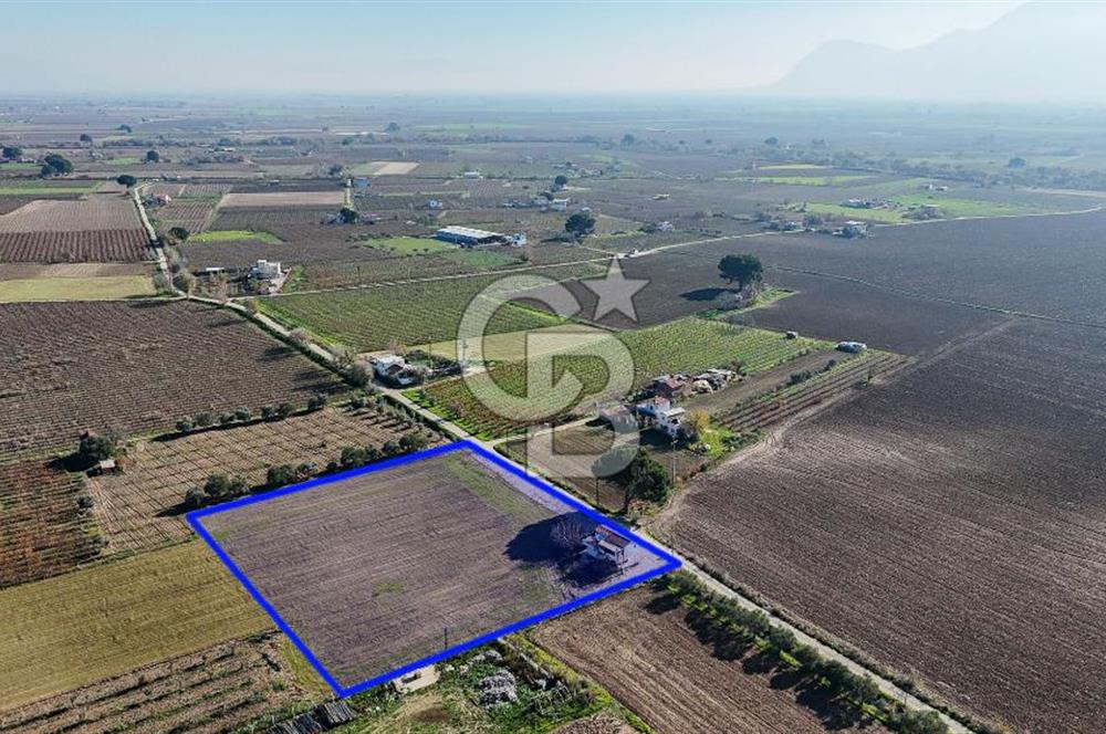 MANİSA ŞEHZADELER VEZİROĞLU SATILIK TEK TAPU BAĞ ARAZİSİ