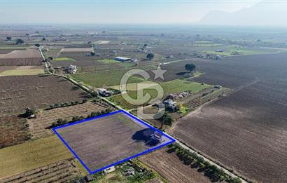 MANİSA ŞEHZADELER VEZİROĞLU SATILIK TEK TAPU BAĞ ARAZİSİ