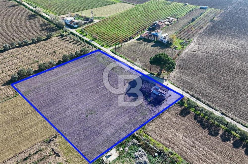 MANİSA ŞEHZADELER VEZİROĞLU SATILIK TEK TAPU BAĞ ARAZİSİ