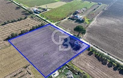 MANİSA ŞEHZADELER VEZİROĞLU SATILIK TEK TAPU BAĞ ARAZİSİ