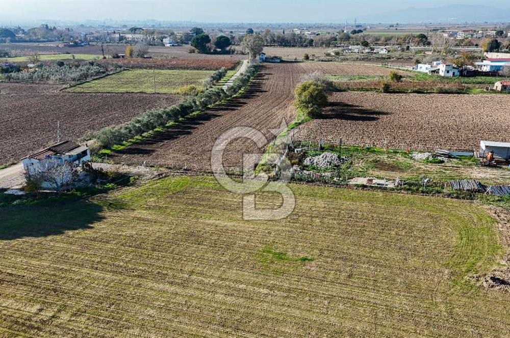 MANİSA ŞEHZADELER VEZİROĞLU SATILIK 8.116 M2 TEK TAPU BAĞ ARAZİSİ