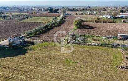 MANİSA ŞEHZADELER VEZİROĞLU SATILIK 8.116 M2 TEK TAPU BAĞ ARAZİSİ