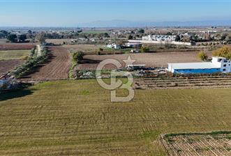 MANİSA ŞEHZADELER VEZİROĞLU SATILIK 8.116 M2 TEK TAPU BAĞ ARAZİSİ - 1 - 323258