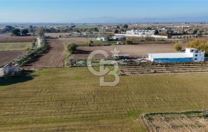 MANİSA ŞEHZADELER VEZİROĞLU SATILIK 8.116 M2 TEK TAPU BAĞ ARAZİSİ