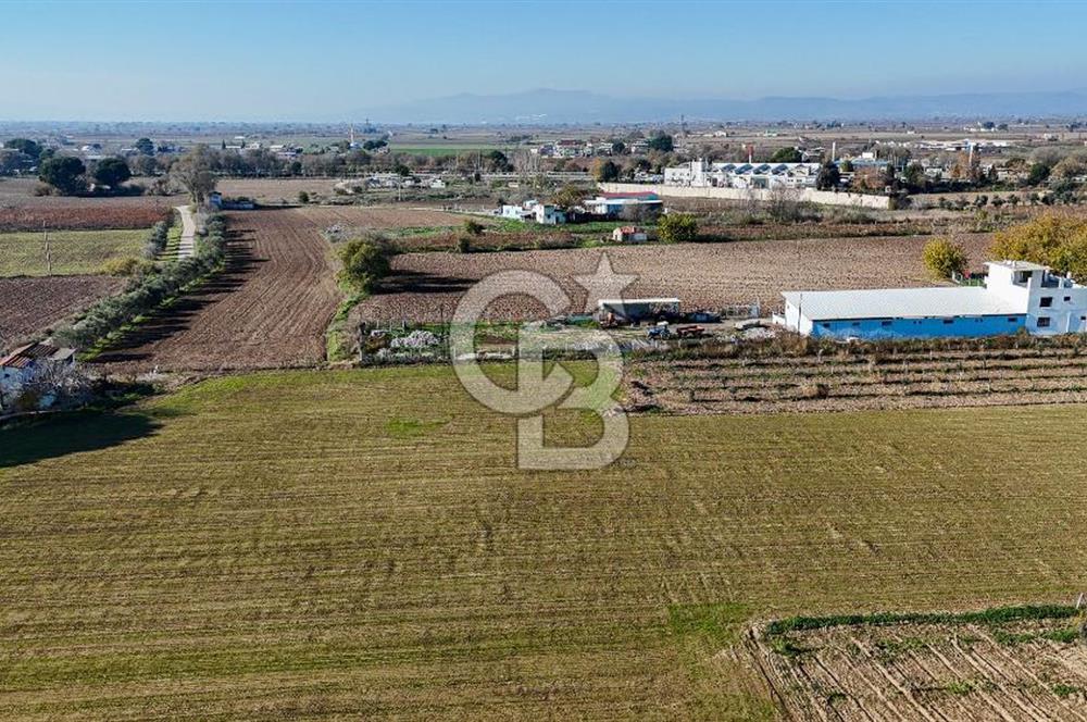 MANİSA ŞEHZADELER VEZİROĞLU SATILIK TEK TAPU BAĞ ARAZİSİ