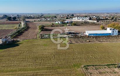 MANİSA ŞEHZADELER VEZİROĞLU SATILIK TEK TAPU BAĞ ARAZİSİ