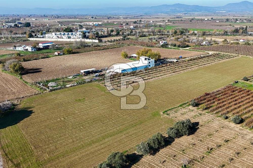 MANİSA ŞEHZADELER VEZİROĞLU SATILIK 8.116 M2 TEK TAPU BAĞ ARAZİSİ