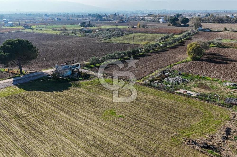 MANİSA ŞEHZADELER VEZİROĞLU SATILIK 8.116 M2 TEK TAPU BAĞ ARAZİSİ