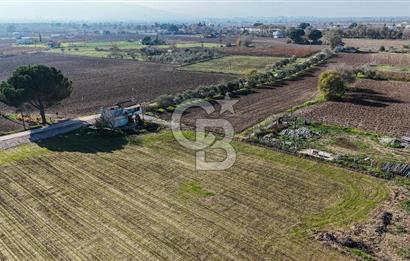 MANİSA ŞEHZADELER VEZİROĞLU SATILIK 8.116 M2 TEK TAPU BAĞ ARAZİSİ