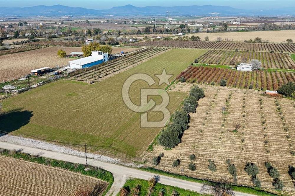 MANİSA ŞEHZADELER VEZİROĞLU SATILIK 8.116 M2 TEK TAPU BAĞ ARAZİSİ