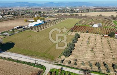 MANİSA ŞEHZADELER VEZİROĞLU SATILIK 8.116 M2 TEK TAPU BAĞ ARAZİSİ