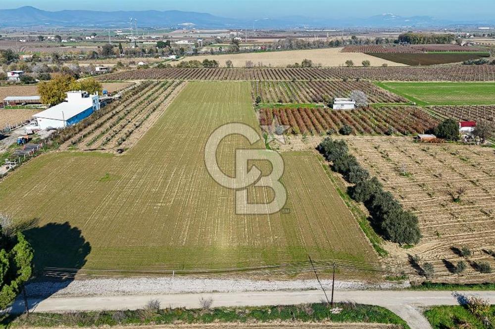 MANİSA ŞEHZADELER VEZİROĞLU SATILIK 8.116 M2 TEK TAPU BAĞ ARAZİSİ