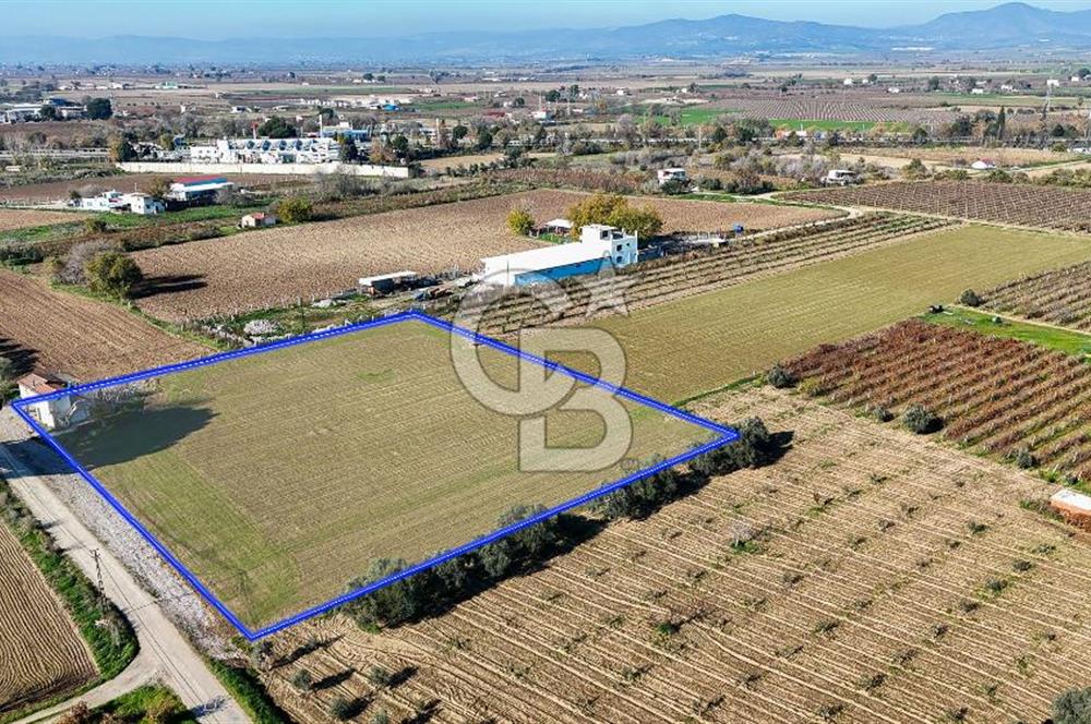 MANİSA ŞEHZADELER VEZİROĞLU SATILIK 8.116 M2 TEK TAPU BAĞ ARAZİSİ