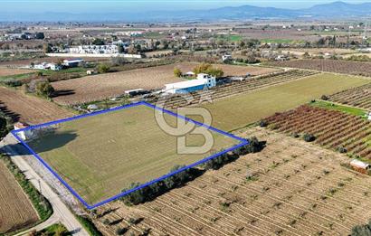 MANİSA ŞEHZADELER VEZİROĞLU SATILIK 8.116 M2 TEK TAPU BAĞ ARAZİSİ