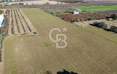 MANİSA ŞEHZADELER VEZİROĞLU SATILIK 8.116 M2 TEK TAPU BAĞ ARAZİSİ