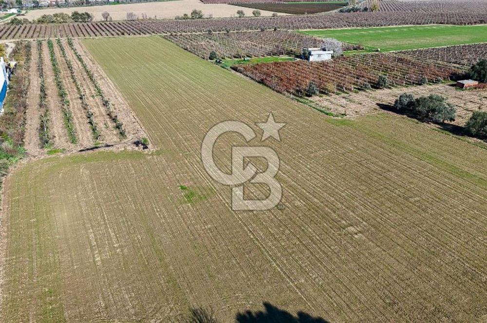 MANİSA ŞEHZADELER VEZİROĞLU SATILIK TEK TAPU BAĞ ARAZİSİ