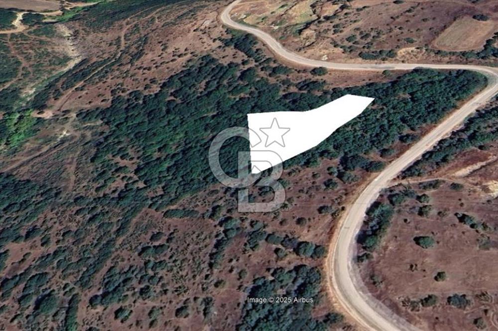 ÇANAKKALE BİGA İLYASALAN KÖYÜNDE YATIRIMLIK ARAZİ!!!