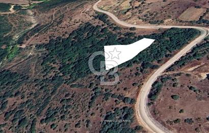 ÇANAKKALE BİGA İLYASALAN KÖYÜNDE YATIRIMLIK ARAZİ!!!