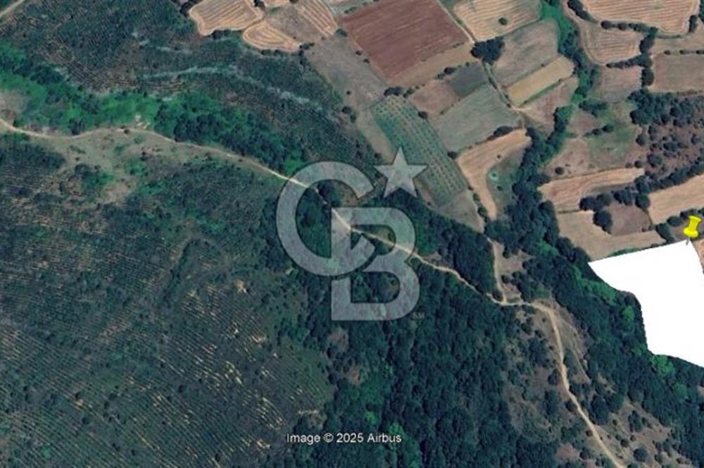 ÇANAKKALE BİGA SARICA KÖYDE SATILIK ARAZİ!!