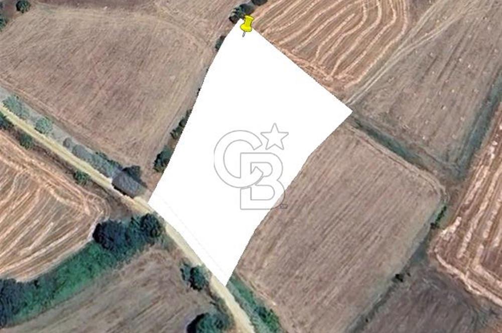 ÇANAKKALE BİGA SARICA KÖYDE SATILIK ARAZİ!!!