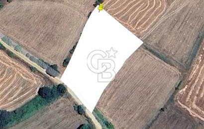 ÇANAKKALE BİGA SARICA KÖYDE SATILIK ARAZİ!!!