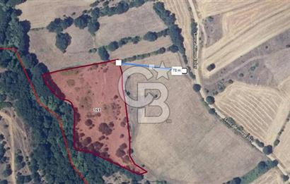 ÇANAKKALE BİGA SARICA KÖYDE SATILIK ARAZİ!!