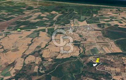 ÇANAKKALE BİGA İLYASALAN KÖYÜNDE YATIRIMLIK ARAZİ!!!
