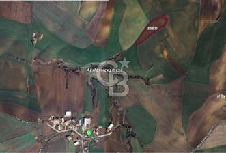 TEKİRDAĞ SÜLEYMANPAŞA GÜNDÜZLÜ, 4.158 M2, KÖYİÇİ SATILIK ARAZİ - 1 - 323282