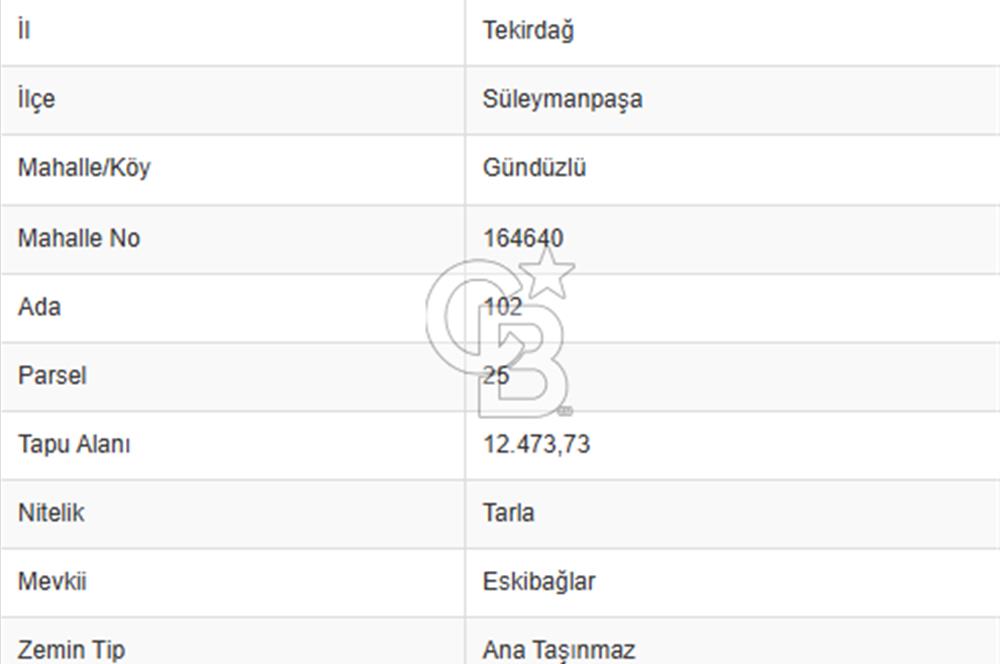 TEKİRDAĞ SÜLEYMANPAŞA GÜNDÜZLÜ, 4.158 M2, KÖYİÇİ SATILIK ARAZİ