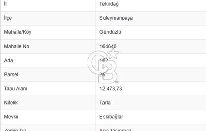 TEKİRDAĞ SÜLEYMANPAŞA GÜNDÜZLÜ, 4.158 M2, KÖYİÇİ SATILIK ARAZİ