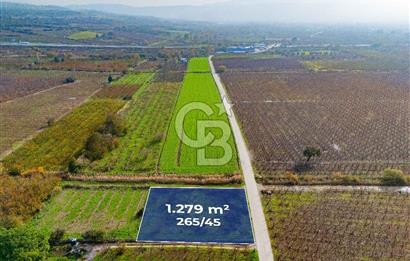 Çanakkale umurbey Altında Satılık Yola cephe 21.096 Dönüm tarla