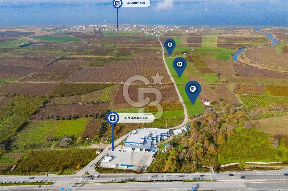 Çanakkale umurbey Altında Satılık Yola cephe 21.096 Dönüm tarla