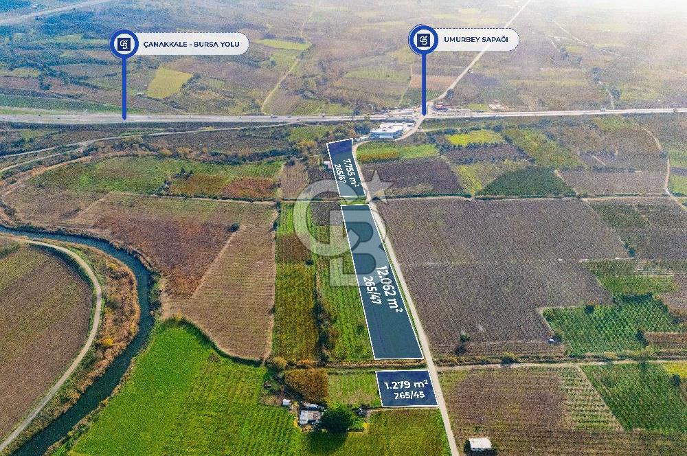 Çanakkale umurbey Altında Satılık Yola cephe 21.096 Dönüm tarla