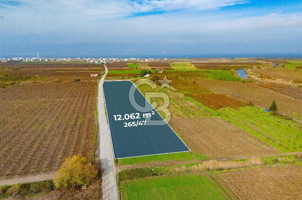 Çanakkale umurbey Altında Satılık Yola cephe 21.096 Dönüm tarla