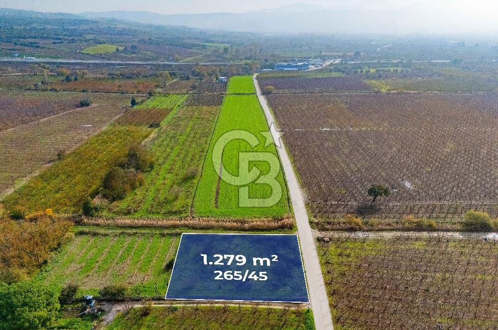 Çanakkale umurbey Altında Satılık Yola cephe 21.096 Dönüm tarla