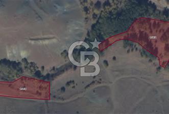 Sivas Ulaş Kapukayada Geleceğe Yatırım; Toplam 24.589 m² Tarla - 7 - 323291