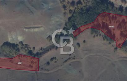 Sivas Ulaş Kapukayada Geleceğe Yatırım; Toplam 24.589 m² Tarla