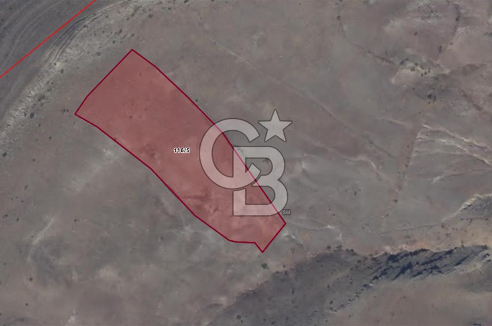 Sivas Ulaş Kapukayada Geleceğe Yatırım; Toplam 24.589 m² Tarla