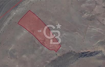 Sivas Ulaş Kapukayada Geleceğe Yatırım; Toplam 24.589 m² Tarla