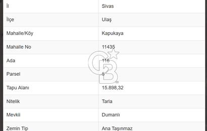 Sivas Ulaş Kapukayada Geleceğe Yatırım; Toplam 24.589 m² Tarla