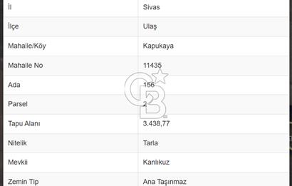 Sivas Ulaş Kapukayada Geleceğe Yatırım; Toplam 24.589 m² Tarla
