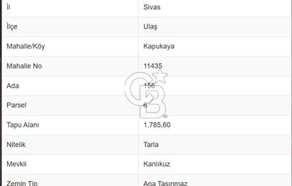 Sivas Ulaş Kapukayada Geleceğe Yatırım; Toplam 24.589 m² Tarla
