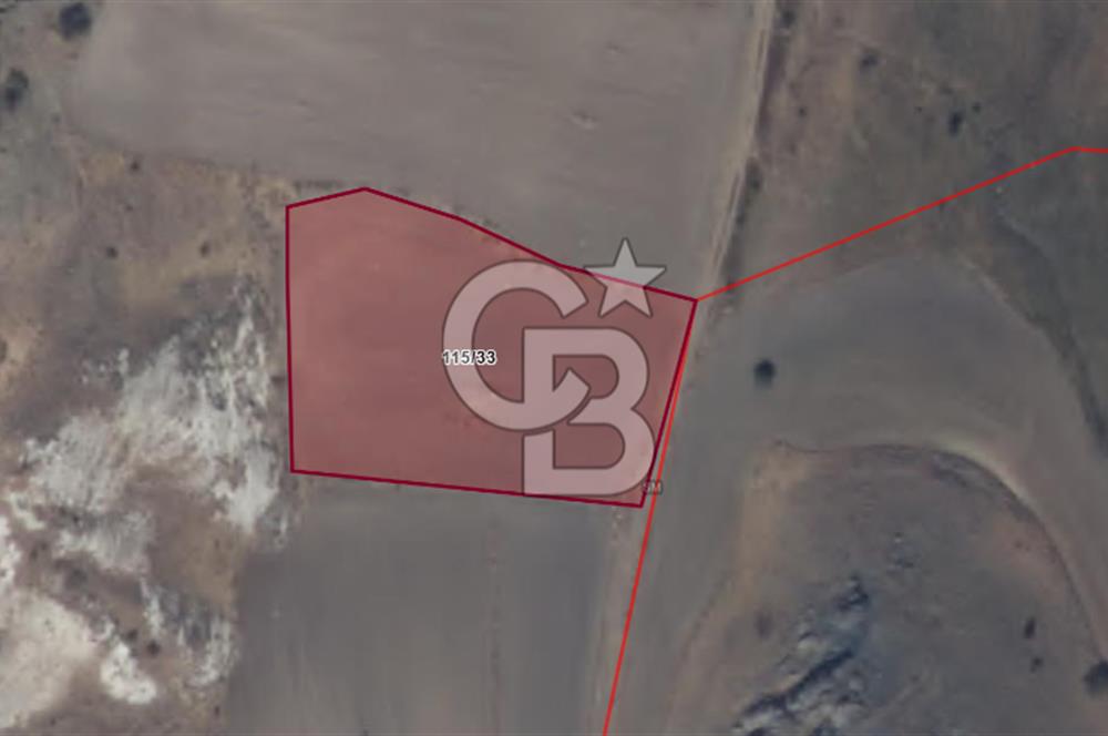 Sivas Ulaş Kapukayada Geleceğe Yatırım; Toplam 24.589 m² Tarla