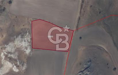 Sivas Ulaş Kapukayada Geleceğe Yatırım; Toplam 24.589 m² Tarla