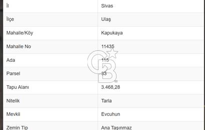 Sivas Ulaş Kapukayada Geleceğe Yatırım; Toplam 24.589 m² Tarla