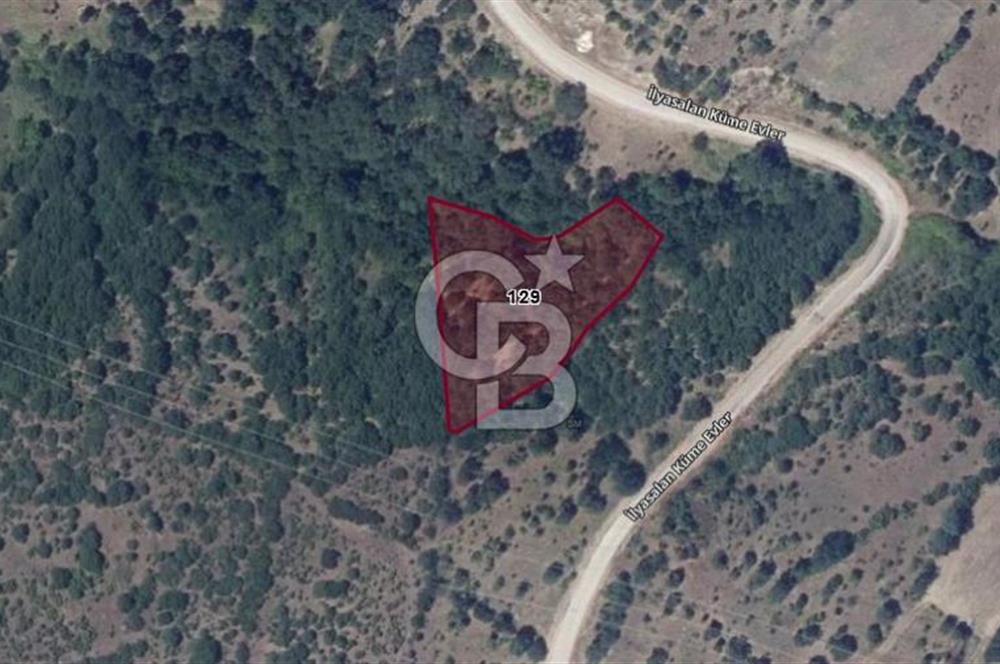 ÇANAKKALE BİGA İLYASALAN KÖYÜNDE YATIRIMLIK ARAZİ!!!